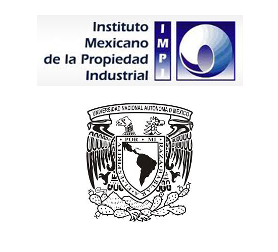 impi unam