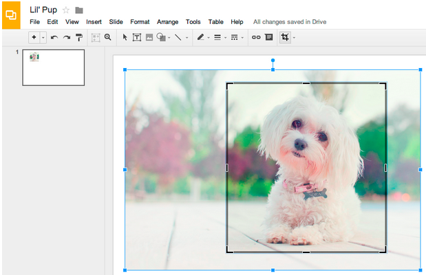 google-images